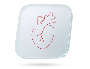 Ne DTL cholesterolis (atliekamas iš tyrimų CHOL ir DTL)